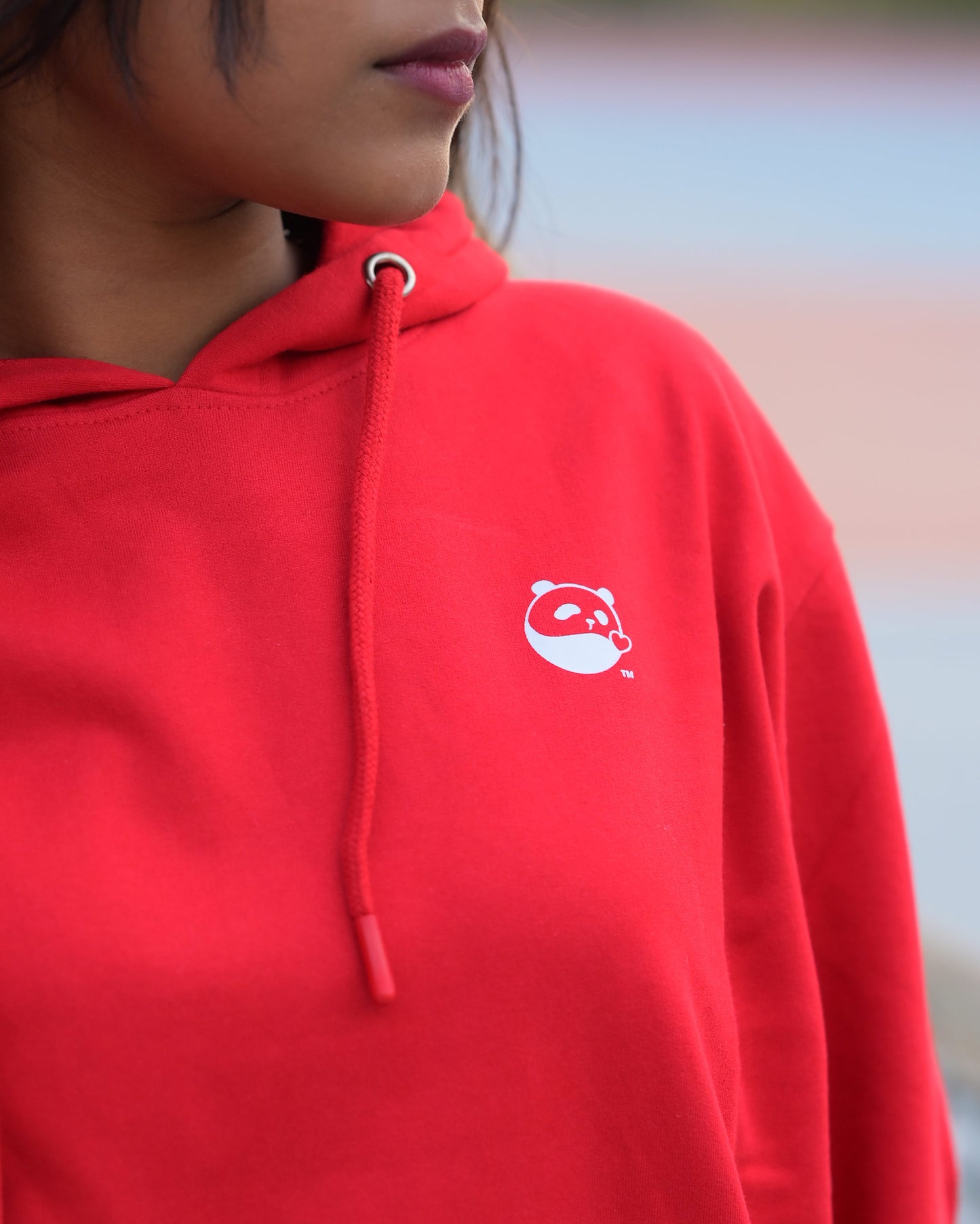 Palooza Basics - Red Pullover Unisex Hoodie